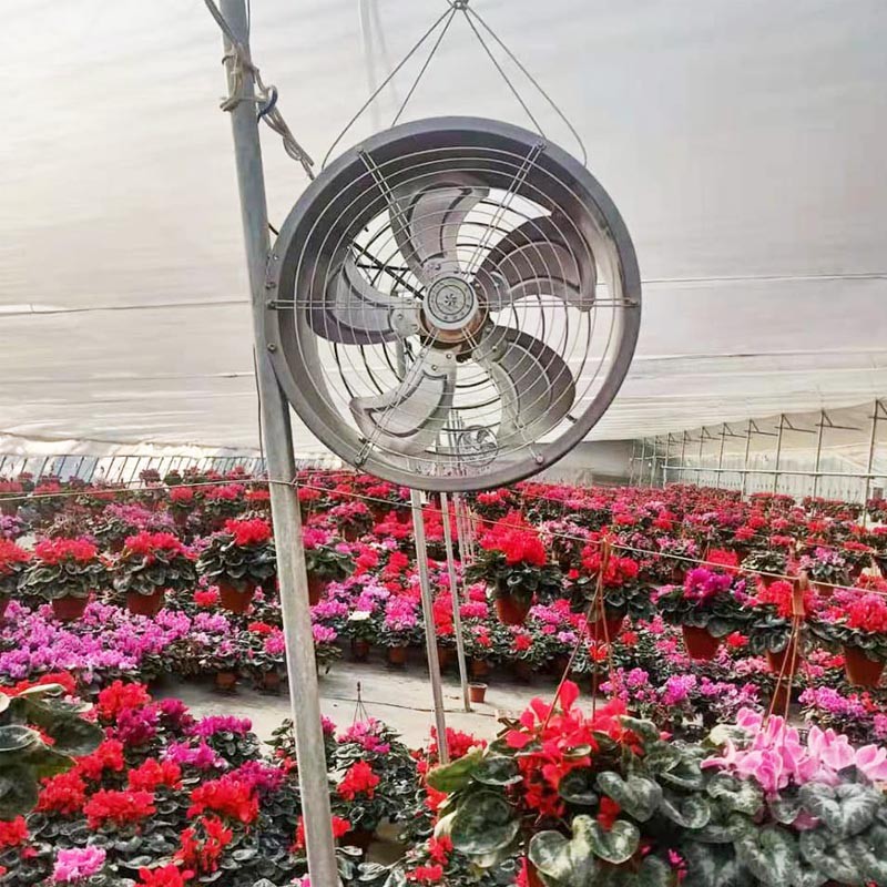 circulation fan
