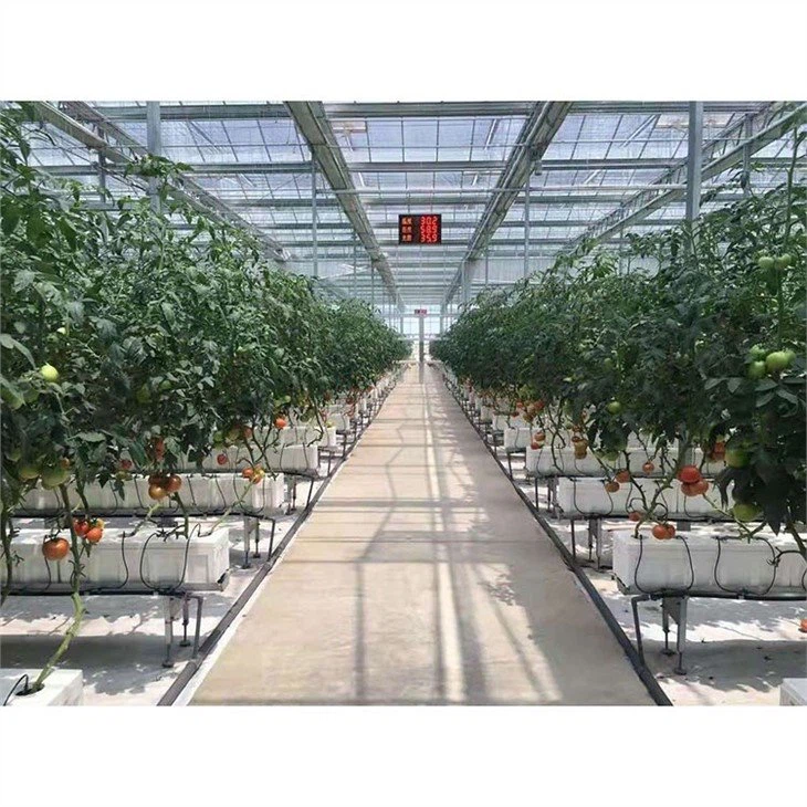 Weed-proof-cloth-China