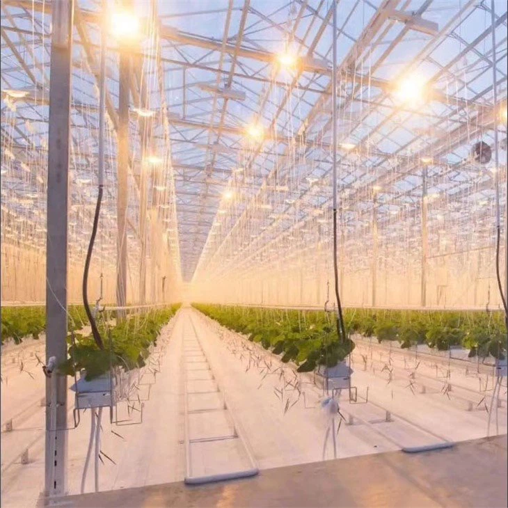 Greenhouse-supplement-light