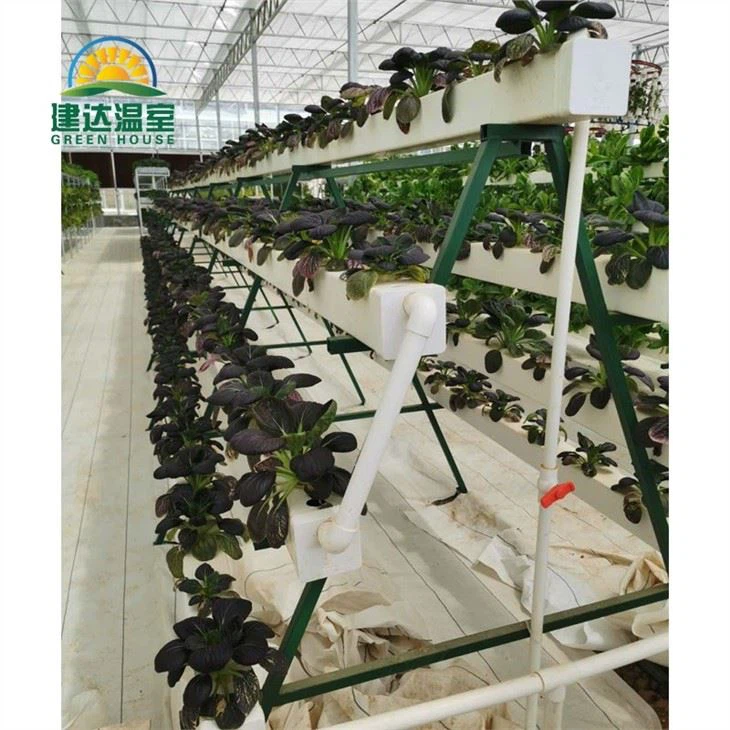 Hydroponic Nft Planting System