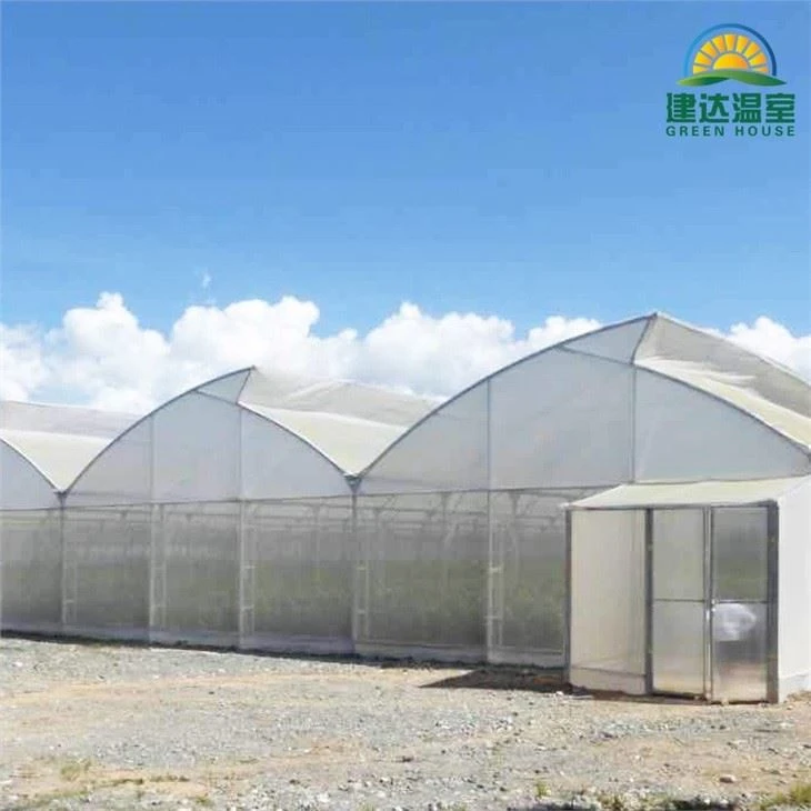 Film Greenhouse Glass Greenhouse PC Greenhouse With Irrigation Hydroponic System For Mushroom Vegetable