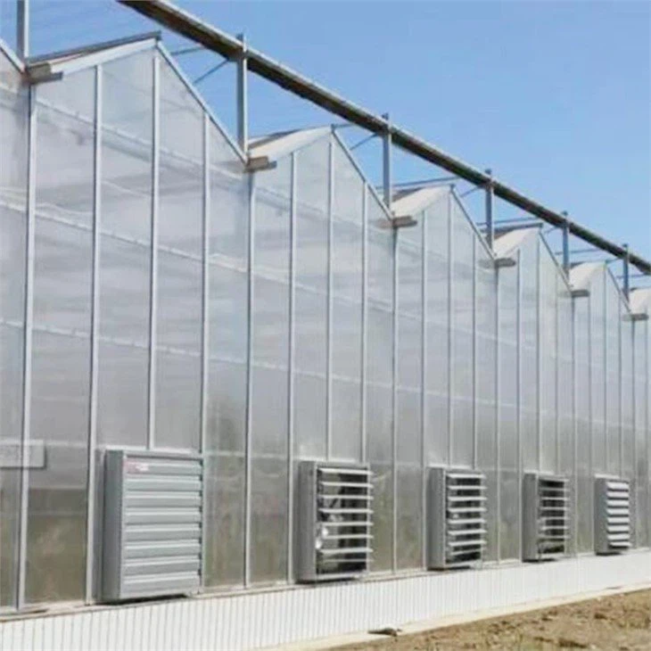 Polycarbonate (PC) green house