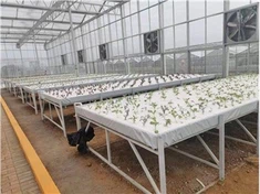 Hydroponic Growing Agricultural Greenhouse