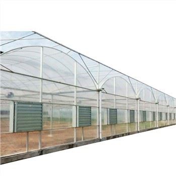 Hot Sale Multi Span fólia üvegház paradicsom termesztési rendszer