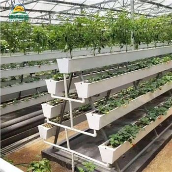 PVC Hydroponic Groove Groove Strawberry