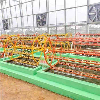 Függőleges hidrokultúrás