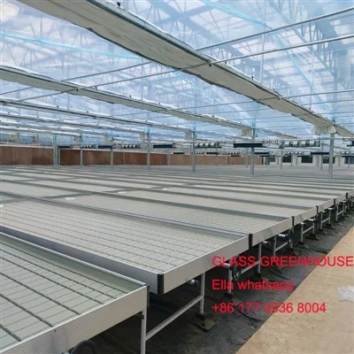 Különböző üvegházak támogató létesítményei