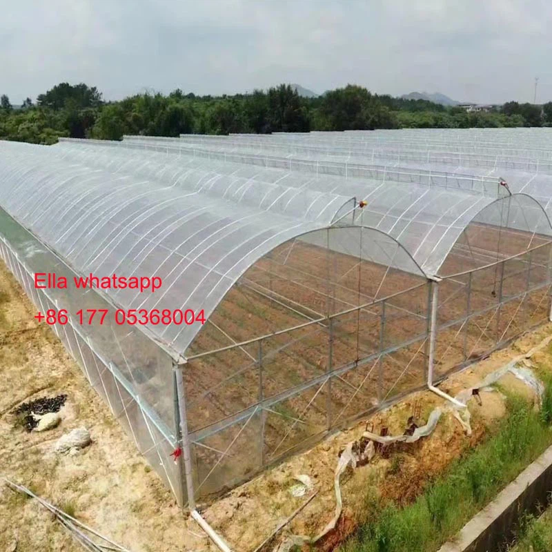 film greenhouse film greenhouse